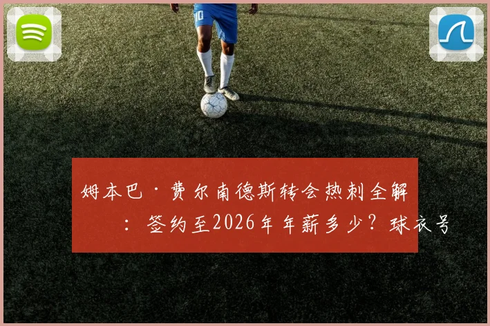 姆本巴·费尔南德斯转会热刺全解析:签约至2026年年薪多少?球衣号码几何?为何波帅选择他