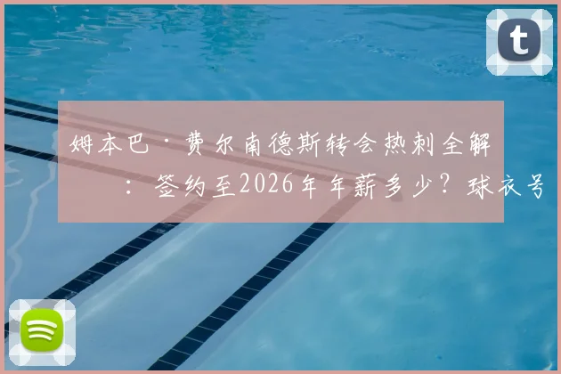 姆本巴·费尔南德斯转会热刺全解析：签约至2026年年薪多少？球衣号码几何？为何波帅选择他
