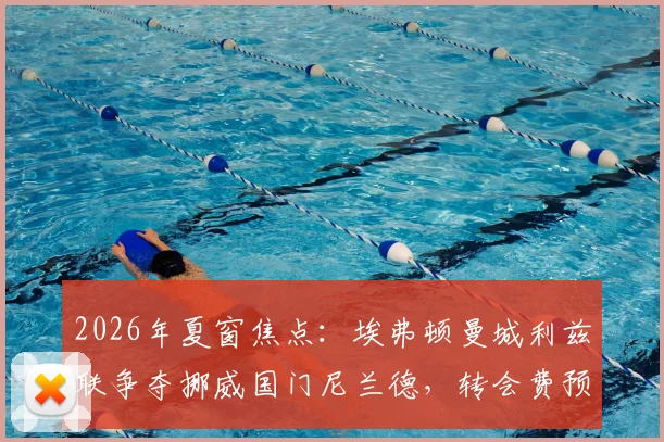 2026年夏窗焦点：埃弗顿曼城利兹联争夺挪威国门尼兰德，转会费预估、实力对比及谁最适合他深度分析