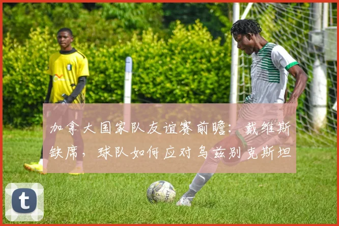 加拿大国家队友谊赛前瞻：戴维斯缺席，球队如何应对乌兹别克斯坦挑战，备战2026世界杯？